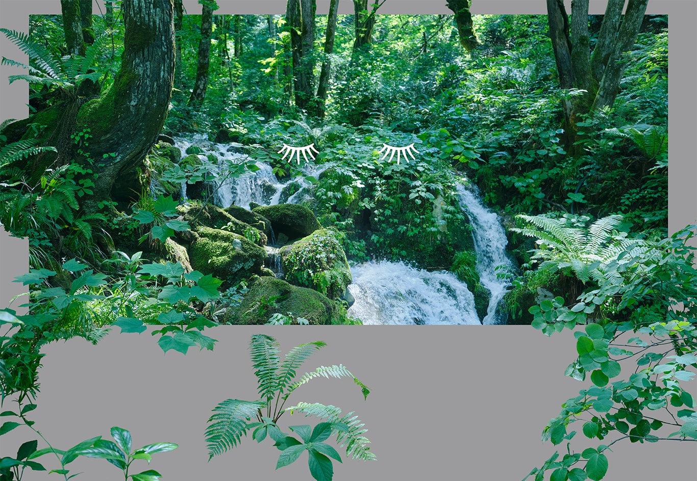 ルルルンオーガニック　デビュー