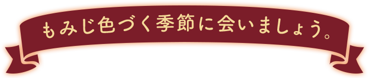 もみじ色づく季節に会いましょう。