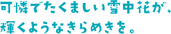 可憐でたくましい雪中花が、輝くようなきらめきを。
