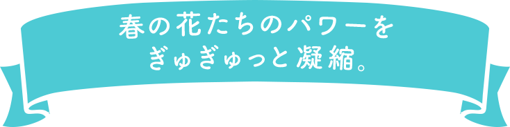 春の花たちのパワーをぎゅぎゅっと凝縮。
