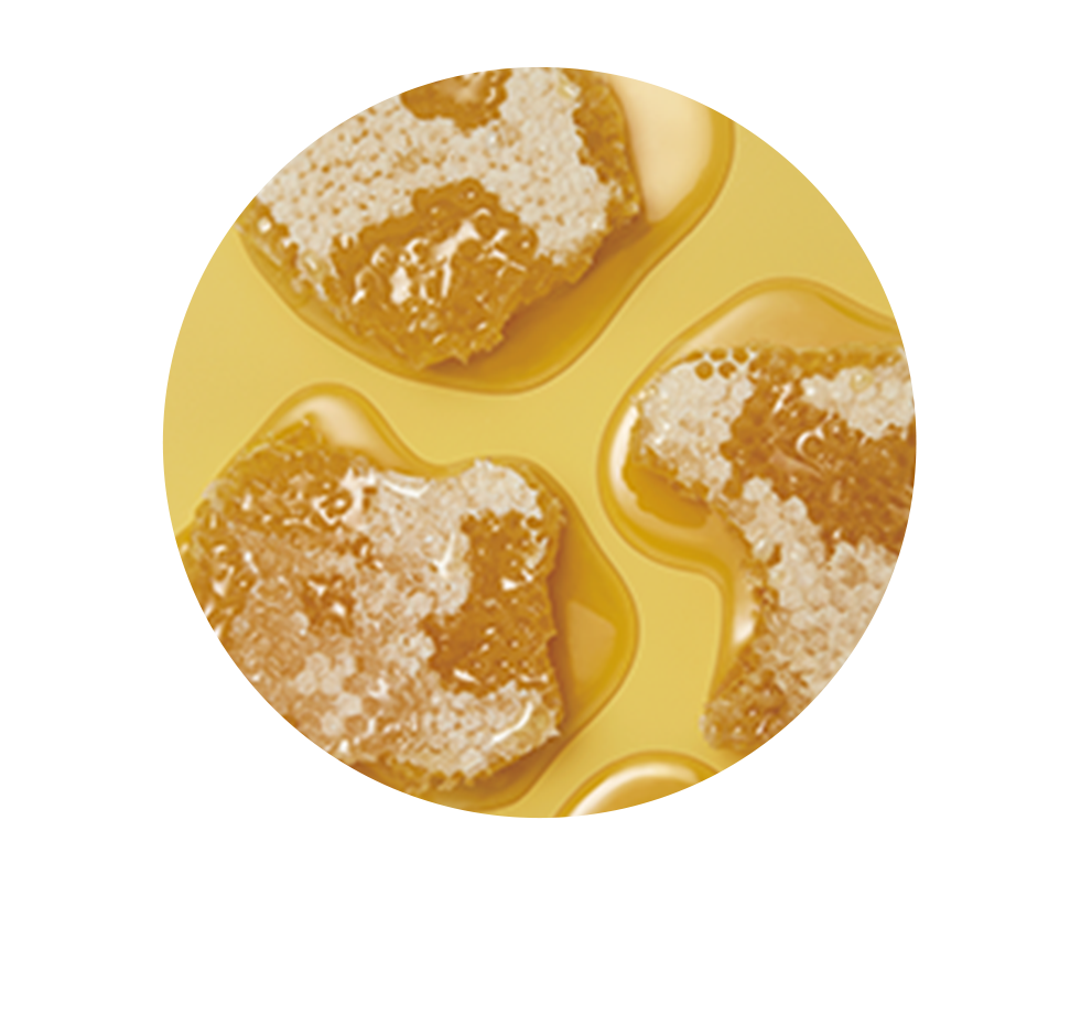 ローヤルゼリーエキス