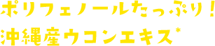 ポリフェノールたっぷり！沖縄産ウコンエキス＊