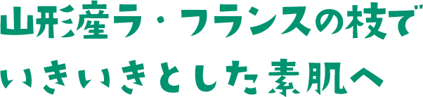 山形産ラ・フランスの枝でいきいきとした素肌へ