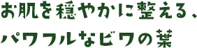お肌を穏やかに整える、パワフルなビワの葉 
