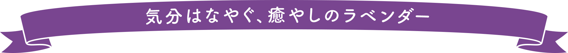 気分はなやぐ、癒やしのラベンダー