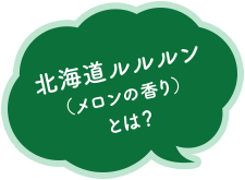 北海道ルルルン （メロンの香り） とは？