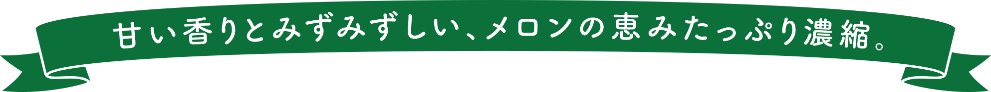 甘い香りとみずみずしい、メロンの恵みたっぷり濃縮。