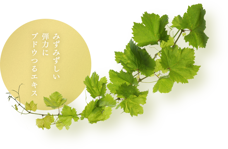みずみずしい弾力にブドウつるエキス