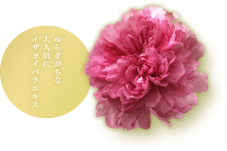ゆらぎがちな大人肌にイザヨイバラエキス＊